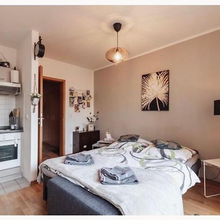 Die Kleine „Louise“ In Der Neustadt Mit Tiefgarage Dresda Esterno foto